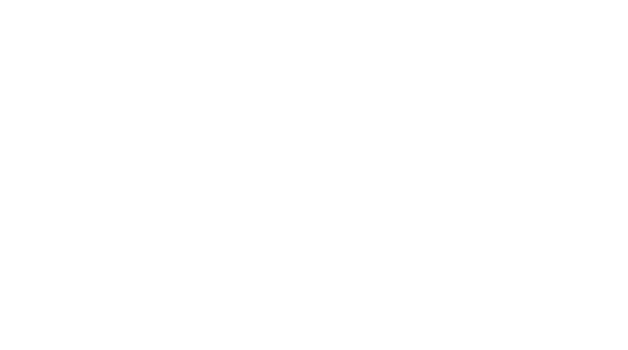 Ravolution Music Festival logo